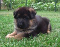 /album/a5-weeks/stenka-b-vrh-056-jpg/